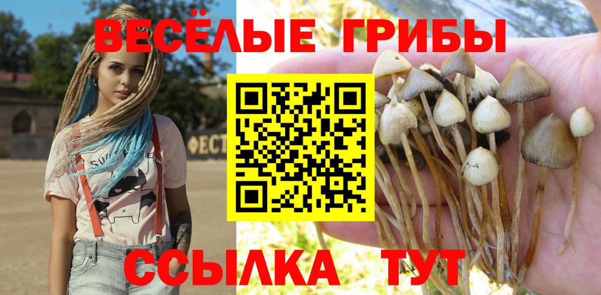 купить закладку  Галлюциногенные грибы прущие грибы  Вход с VPN  Прохладный 