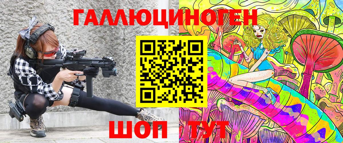 Псилоцибиновые грибы Cubensis Прохладный